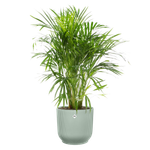 vibes fold rond 40cm sorbet green (1)